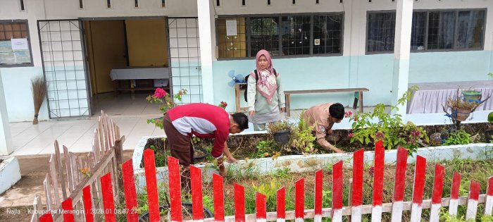 Guru MTsN 6 Merangin Gotong Royong Bersihkan Taman Kantor